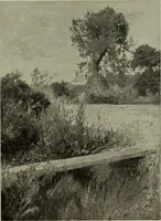 Picture 157 of 524 from International studio (1897), leaf 146
