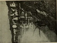 Picture 226 of 524 from International studio (1897), leaf 204