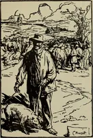 Picture 229 of 524 from International studio (1897), leaf 206