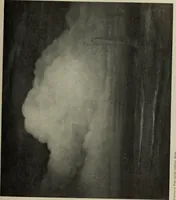 Picture 275 of 524 from International studio (1897), leaf 242