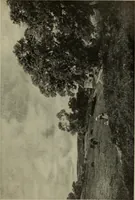 Picture 281 of 524 from International studio (1897), leaf 250