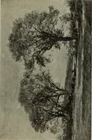 Picture 283 of 524 from International studio (1897), leaf 252