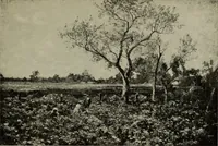 An illustration from International studio (1897)