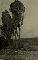 Picture 8 of 524 from International studio (1897), leaf 28