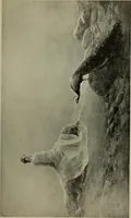 Picture 346 of 524 from International studio (1897), leaf 310