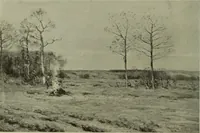 Picture 17 of 524 from International studio (1897), leaf 35