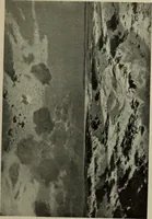 An illustration from International studio (1897)