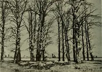 Picture 435 of 524 from International studio (1897), leaf 387