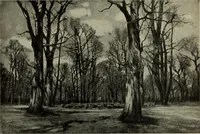 Picture 436 of 524 from International studio (1897), leaf 388