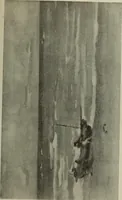 An illustration from International studio (1897)