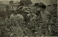 Picture 520 of 524 from International studio (1897), leaf 451