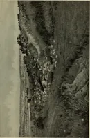 Picture 70 of 524 from International studio (1897), leaf 78