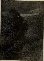 Picture 101 of 524 from International studio (1897), leaf 98