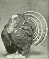 An illustration from International studio (1897)