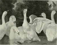 An illustration from International studio (1897)