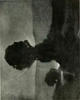 An illustration from International studio (1897)