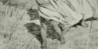 An illustration from International studio (1897)