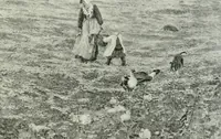 An illustration from International studio (1897)
