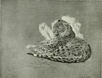 An illustration from International studio (1897)
