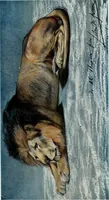 An illustration from International studio (1897)