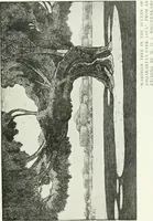 An illustration from International studio (1897)