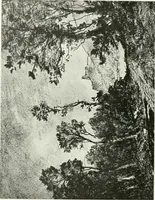 An illustration from International studio (1897)