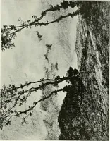An illustration from International studio (1897)