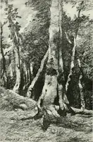 An illustration from International studio (1897)