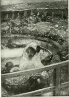 An illustration from International studio (1897)