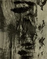 An illustration from International studio (1897)