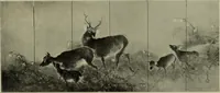 An illustration from International studio (1897)