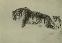 An illustration from International studio (1897)