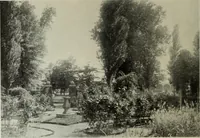 An illustration from International studio (1897)