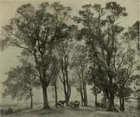 An illustration from International studio (1897)