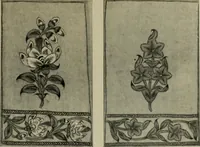 An illustration from International studio (1897)