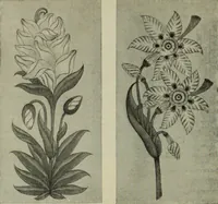 An illustration from International studio (1897)