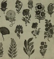 An illustration from International studio (1897)