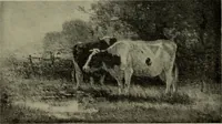 An illustration from International studio (1897)