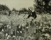 An illustration from International studio (1897)