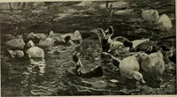 An illustration from International studio (1897)