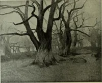 An illustration from International studio (1897)