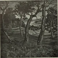 Picture 104 of 509 from International studio (1897), leaf 100