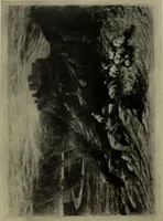 Picture 140 of 509 from International studio (1897), leaf 137