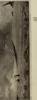 Picture 1 of 509 from International studio (1897), leaf 17