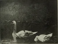 Picture 187 of 509 from International studio (1897), leaf 171