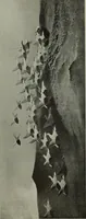 Picture 189 of 509 from International studio (1897), leaf 173