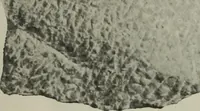 Picture 226 of 509 from International studio (1897), leaf 203