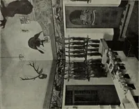 Picture 229 of 509 from International studio (1897), leaf 204