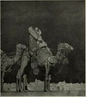 Picture 264 of 509 from International studio (1897), leaf 235