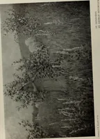 Picture 384 of 509 from International studio (1897), leaf 332